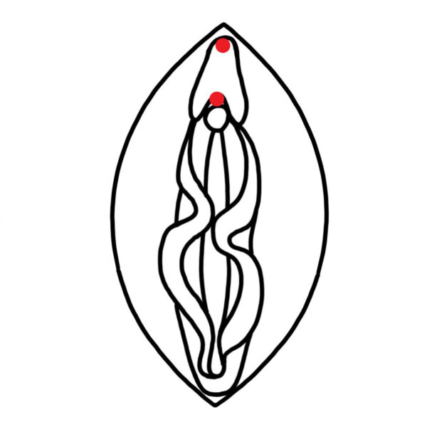 Klitorisvorhaut Piercing | Bern | Schweiz