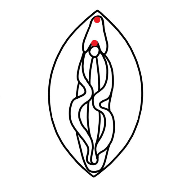 Klitorisvorhaut Piercing | Bern | Schweiz